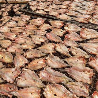 KHÔ CÁ NGÁT TẨM VỊ 500G - VỰA KHÔ BẾN TRE