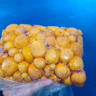 Trứng non vàng - Túi 1Kg giá sỉ