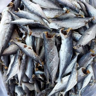 KHÔ CÁ THU NGUYÊN CON ƯỚP MẶN - VỰA KHÔ BẾN TRE