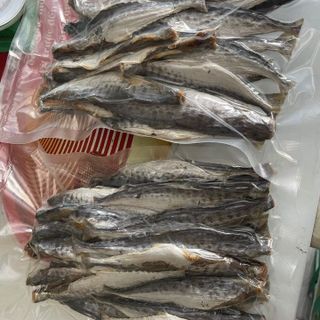 KHÔ CÁ THU NGUYÊN CON ƯỚP MẶN - VỰA KHÔ BẾN TRE