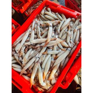 Mực Dâu Tươi cấp đông khay 1kg (giao tphcm)