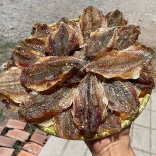 KHÔ CÁ ĐÙ XẺ ƯỚP VỊ VỪA ĂN - VỰA KHÔ BẾN TRE