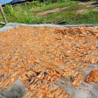 TÔM CHẺ ƯỚP GIA VỊ VỪA ĂN 3 NẮNG - VỰA KHÔ BẾN TRE