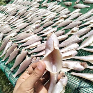 1KG KHÔ CÁ ĐÙ - VƯA KHÔ BẾN TRE