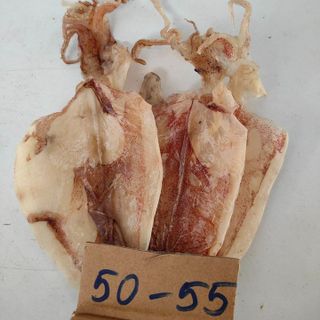 500G KHÔ MỰC ( SIZE 50-60 CON 1KG) - VỰA KHÔ BẾN TRE