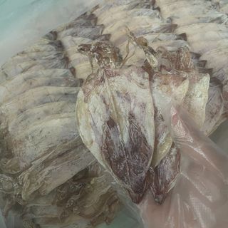 500G KHÔ MỰC ( SIZE 50-60 CON 1KG) - VỰA KHÔ BẾN TRE