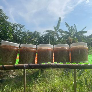 MẮM RUỐC - VỰA KHÔ BẾN TRE