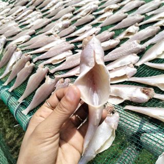 KHÔ CÁ ĐÙ ƯỚP MẶN VỪA ĂN 500G - VỰA KHÔ BẾN TRE