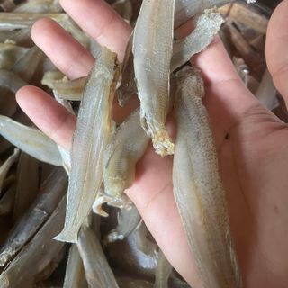 KHÔ CÁ ĐỤC ƯỚP MẶN VỪA ĂN 500G - VỰA KHÔ BẾN TRE