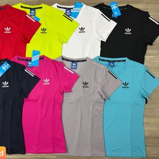 Áo nữ das   Size m l xl xxl  Ri 2222  Tách nửa ri được giá sỉ