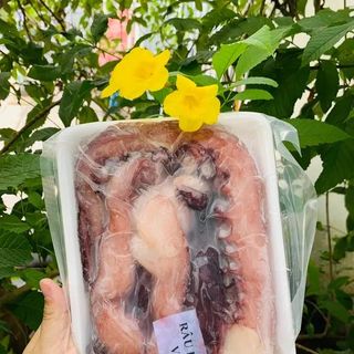 🌹 Râu Tuộc Tươi Net Đủ