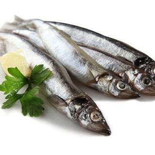☘ Cá Trứng Net 8 (60% trứng)