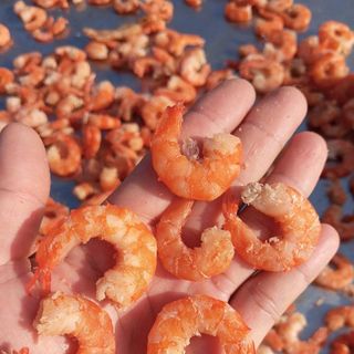 TÔM KHÔ SIZE TRUNG 500G - VỰA KHÔ BẾN TRE