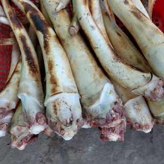 🍒 Đuôi Bò Thùng
