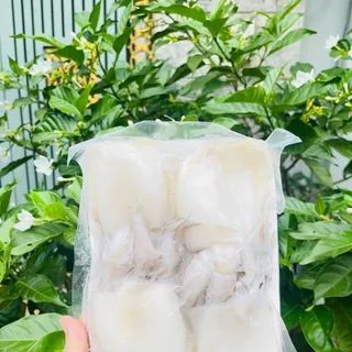 ☀ MỰC ỐNG FILE NET 8