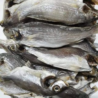 ☀ Cá Đù Nguyên Con Size Lớn