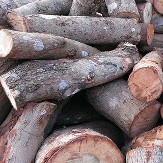 củi đốt lò hơi giá rẻ cho các công ty