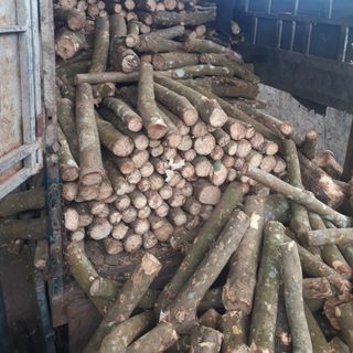 củi đốt lò hơi giá rẻ cho các công ty