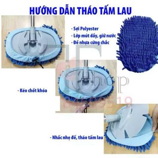 Bông lau kính ô tô