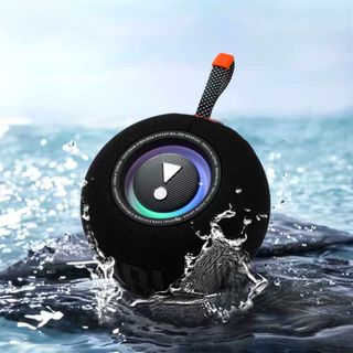 Loa Bluetooth P Pro 1