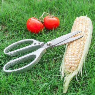 Kéo sk5 cắt gà kéo làm bếp