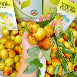 Hồng táo Winter Jujube - THÙNG 6 hộp / 1 hộp 1,5kg giá sỉ