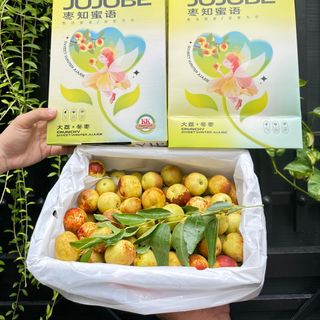 Hồng táo Winter Jujube - THÙNG 6 hộp / 1 hộp 1,5kg