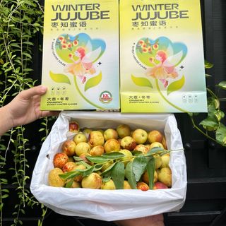Hồng táo Winter Jujube - THÙNG 6 hộp / 1 hộp 1,5kg