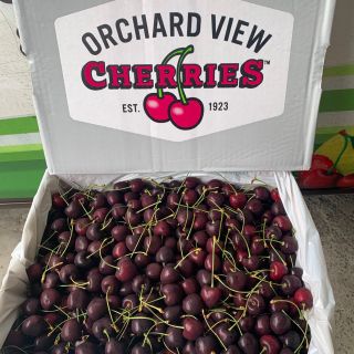 Cherry Orchard View size 9 - Chủng Kordia - Thùng 5kg