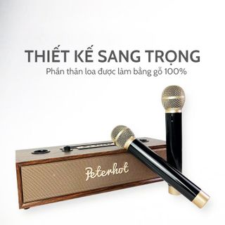 Loa Karaoke Bluetooth Peterhot A100 (Kèm 2 Micro) giá sỉ