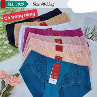 3029 - TEM HỒNG PHÁT