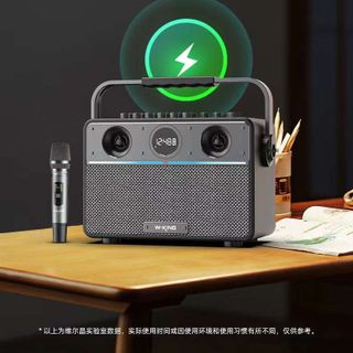 Loa Bluetooth Karaoke Wking T16S kèm 1 micro.