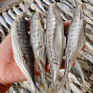 KHÔ CÁ THU CÀ MAU NGUYÊN CON VỪA ĂN, THỊT DAI, CHẮC - 500GR