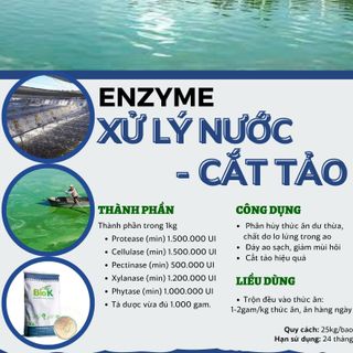 ENZYME XỬ LÝ NƯỚC - CẮT TẢO giá sỉ