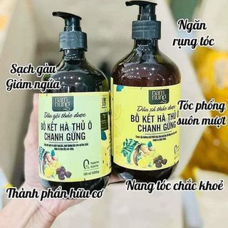 Combo Dầu gội xả thảo dược Nam Nung – Bồ Kết, Hà Thủ Ô, Chanh, Gừng, được thiết kế theo công thức truyền thống kết hợp hiện đại, mang lại nhiều lợi ích cho tóc và da đầu.