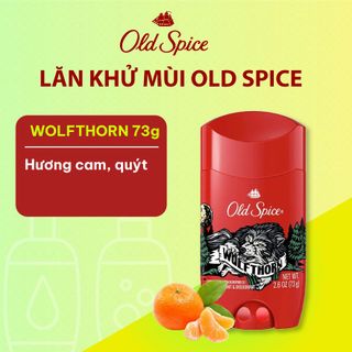 Lăn khử mùi Old Spice - Wolfthorn Hương Cam, quýt 73g giá sỉ