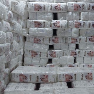 BỈM QUẦN MIJUKU CÔNG NGHỆ NHẬT BẢN