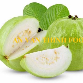 ỔI ĐÔNG LẠNH, ỔI TRẮNG ĐÔNG LẠNH, IQF WHITE GUAVA, FROZEN WHITE GUAVA, IQF GUAVA, FROZEN GUAVA - AN VAN THINH FOOD giá sỉ