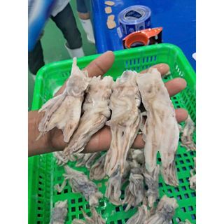 Đầu Mực Mini 1kg net 7 (giao tphcm)