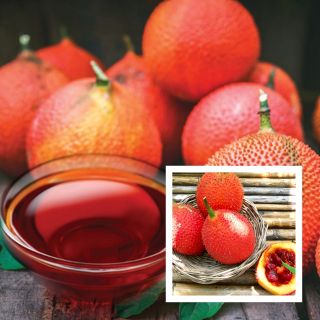 Dầu Gấc Nguyên Chất Giá Sỉ- Đủ Tiêu Chuẩn Xuất Khẩu