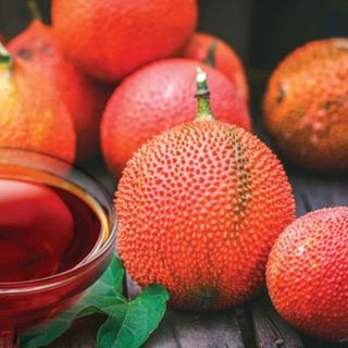Dầu Gấc Nguyên Chất Giá Sỉ- Đủ Tiêu Chuẩn Xuất Khẩu