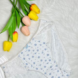 [COTTON] Quần Lót Cotton NỮ hoa nhí phối ren - kiểu dáng trẻ trung