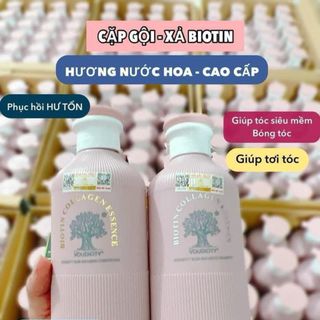 Cặp gội xả Biotin collagen hồng giá sỉ