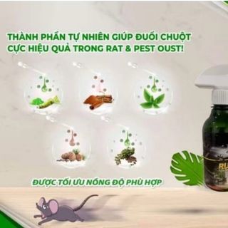 Xịt Đuổi Chuột, Muỗi Thảo Mộc Run Away 300ml Không Mùi, An Toàn Đuổi Chuột, Gián, Côn trùng Hiệu Quả