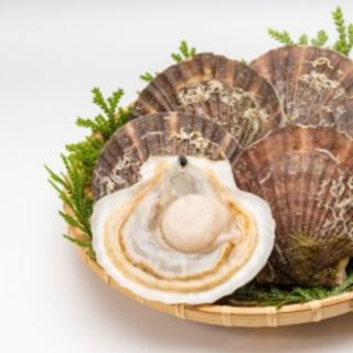 Sò điệp nhật size lớn 10-11 con/kg nhập khẩu trực tiếp giá tốt toàn quốc.