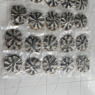 Khô cá chỉ xếp bông  ướp vị vừa ăn _ Vựa khô Bến Tre