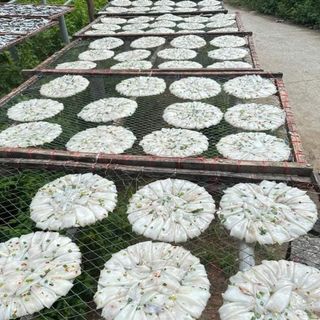 Khô bánh tráng mực _ Vựa khô Bến Tre