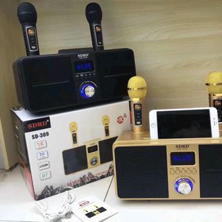 Loa karaoke SD 309 giá sỉ giá sỉ