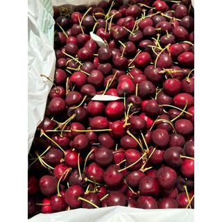 Cherry Orchard View size 10 , thùng 5Kg