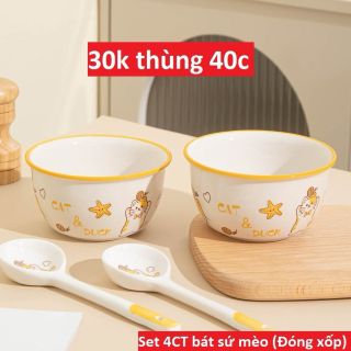 Sét 2 bát sứ 2 thìa th40